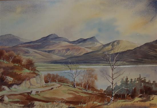 Donald Shearer watercolour
